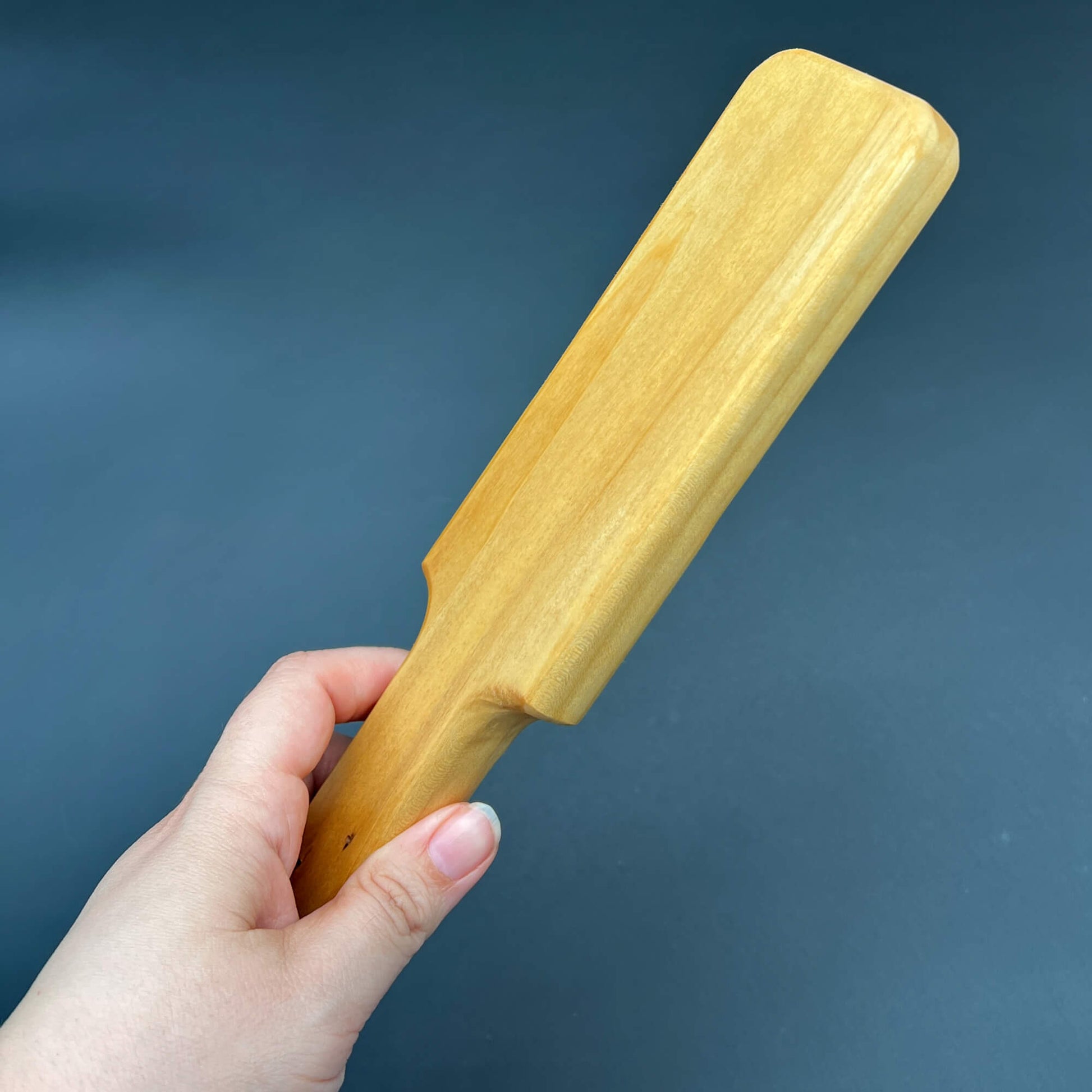 Ass Beater Jr image 5