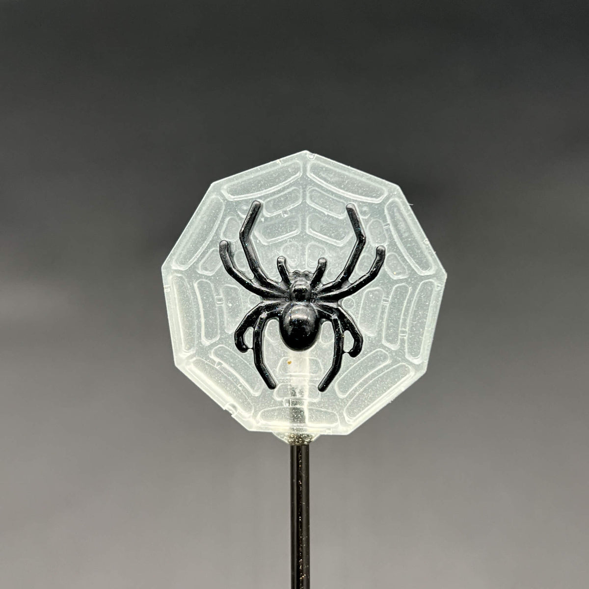 Full view of a single glow in the dark spider web with a black spider on top - in full light
