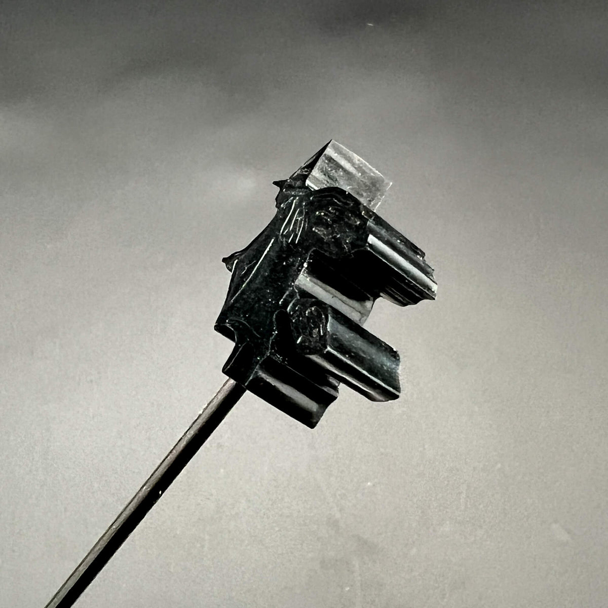 Close-up of the side view of the witch 