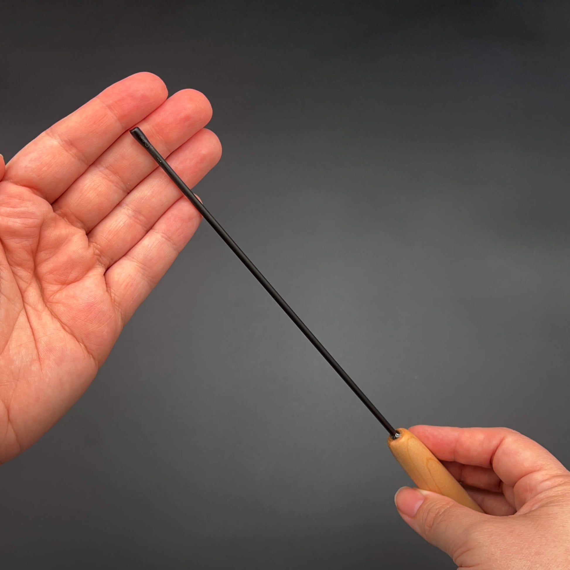 Evil Stick image 2