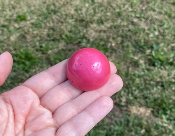 Kayla holding pink resin sample in natural light over green grass