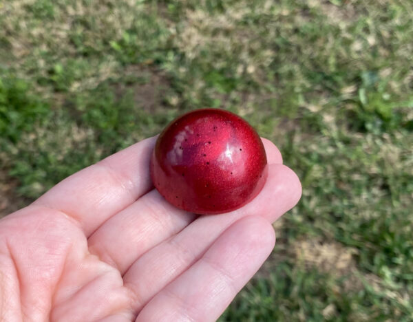 Kayla holding red resin sample in natural light over green grass