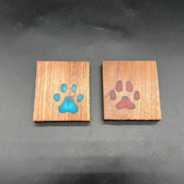 Kitten and puppy paws in resin side by side